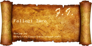Fellegi Imre névjegykártya